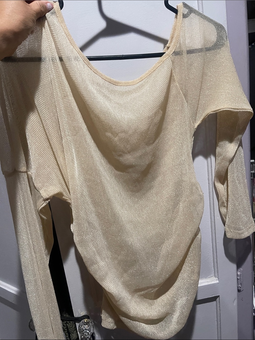 SHEIN Shimmery Cream Long-Sleeve Crop Top